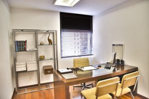 high quality , luxurious , best office furniture